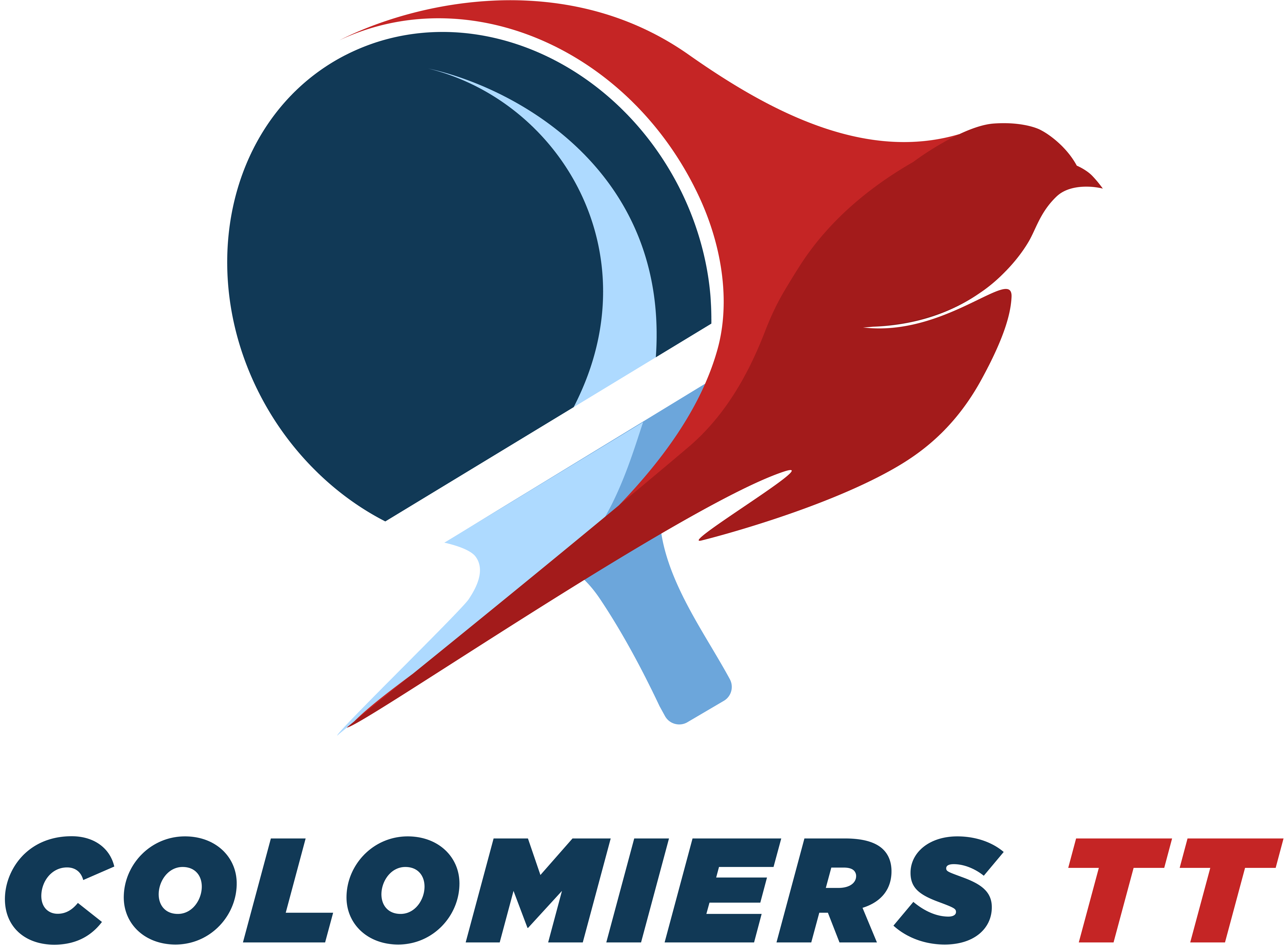 Colomiers Tennis de Table